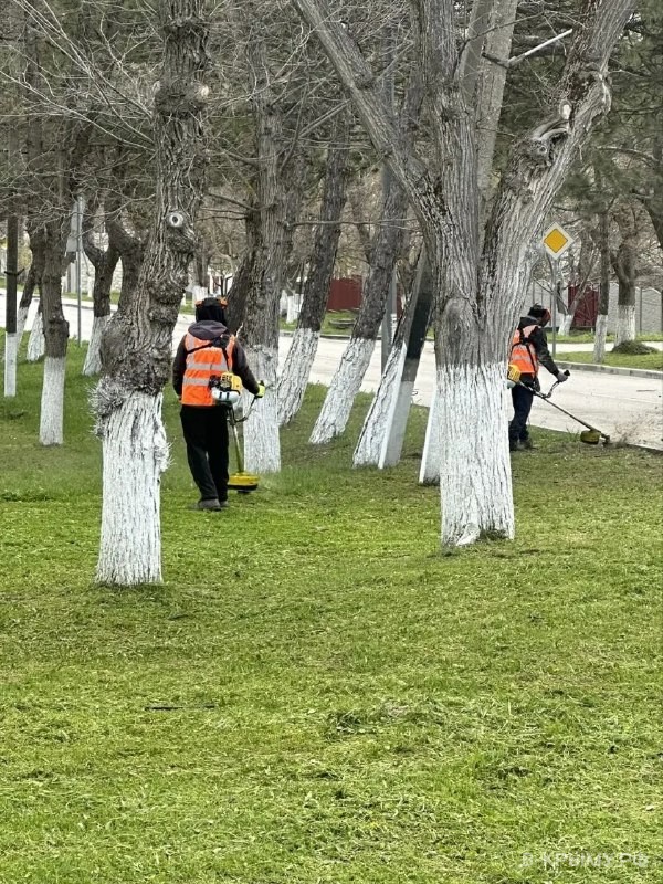 Городская акция «Покоси траву у дома» в Белогорске